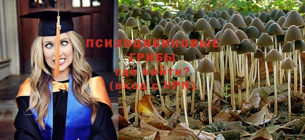 гашиш Алзамай