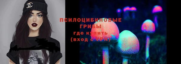 дмт Алексеевка